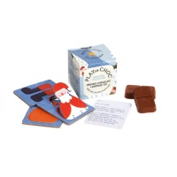 Play-In Choc Organic Chocolate & Surprise Christmas Toy - A Perfect Stocking Filler!